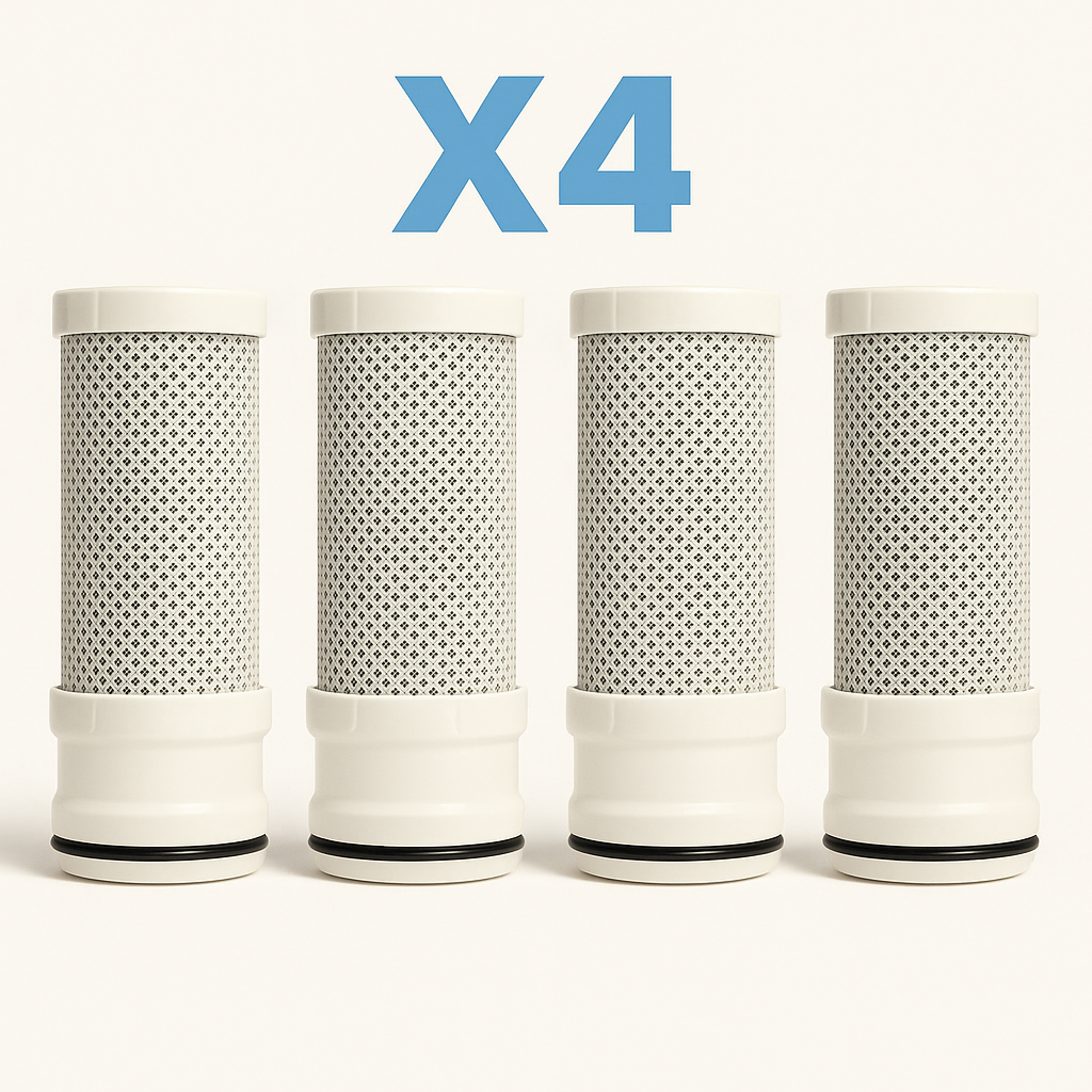 Claryvia® – Filtre Robinet Inox + 1 An de Cartouches Incluses